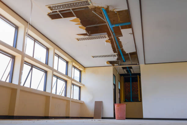 Best Water damage restoration experts  in Millersburg, PA