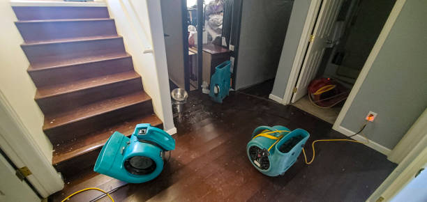 Best Water damage cleanup near me  in Millersburg, PA