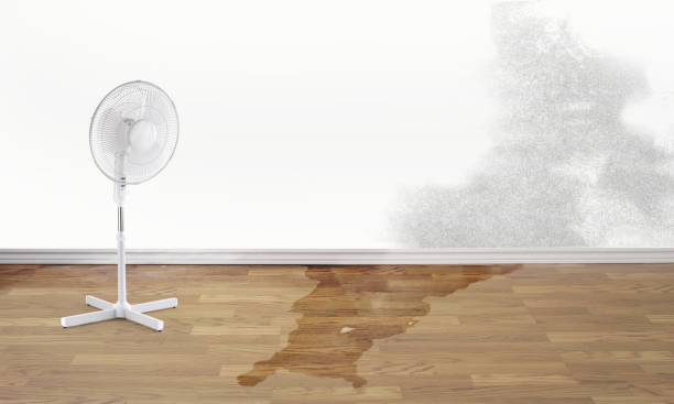 Best 24/7 water damage repair  in Millersburg, PA