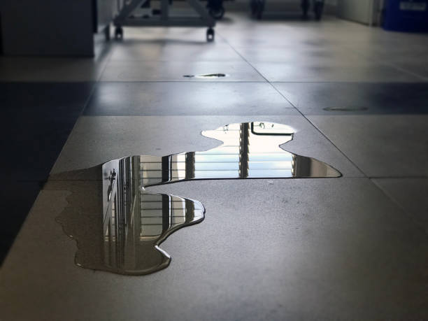 Best Professional water damage repair  in Millersburg, PA
