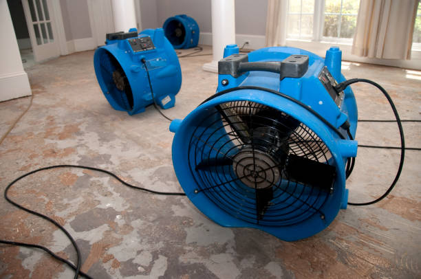 Best Water damage restoration company  in Millersburg, PA