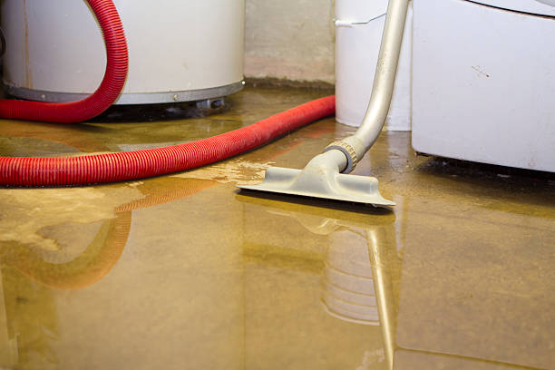 Best Carpet water damage restoration  in Millersburg, PA