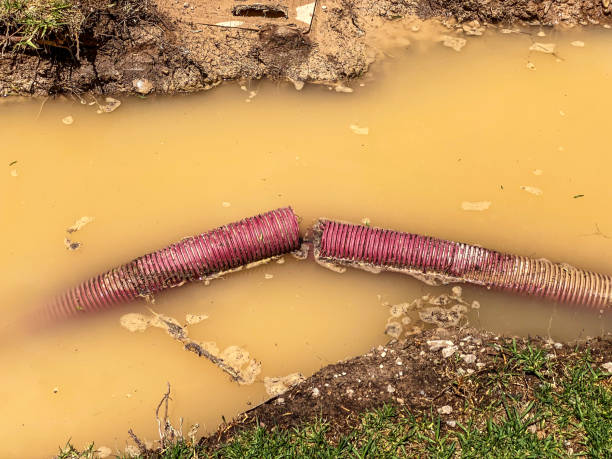 Best Water damage restoration specialists  in Millersburg, PA